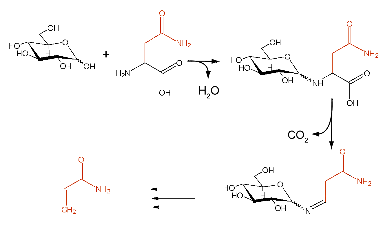 Figure showing Maillard Reaction