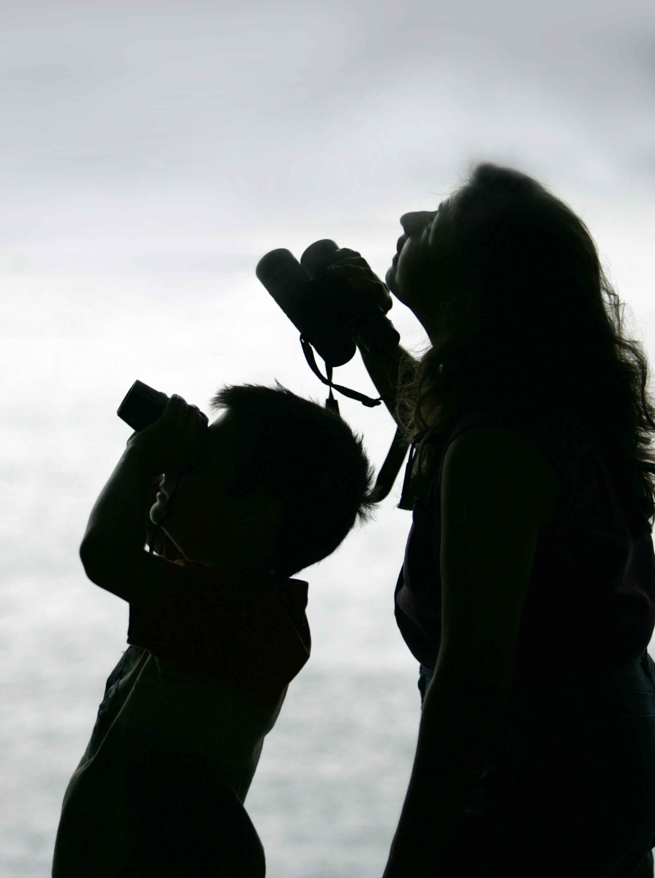 File:Male and female persons silhouette.jpg - Wikimedia Commons