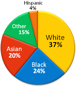 Ethnic Media In America 78