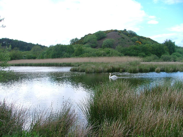 Nature Reserve - geograph.org.uk - 12461