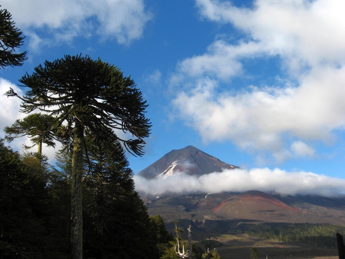 File:Parque Nacional Conguillio 001.jpg