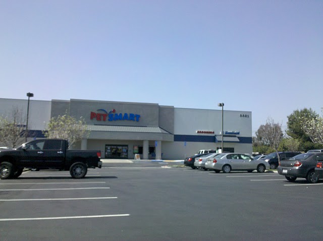 PetSmart - Wikipedia