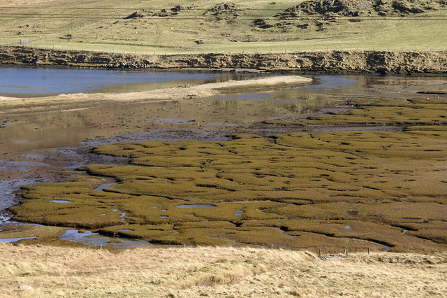 File:Saltmarsh and spit - geograph.org.uk - 727220.jpg