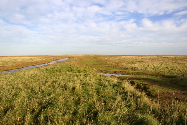 File:Saltmarshes - geograph.org.uk - 1054588.jpg