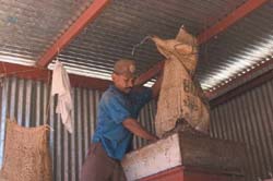 A Salvadoran coffee farmer. Salvador coffee farmer.jpg