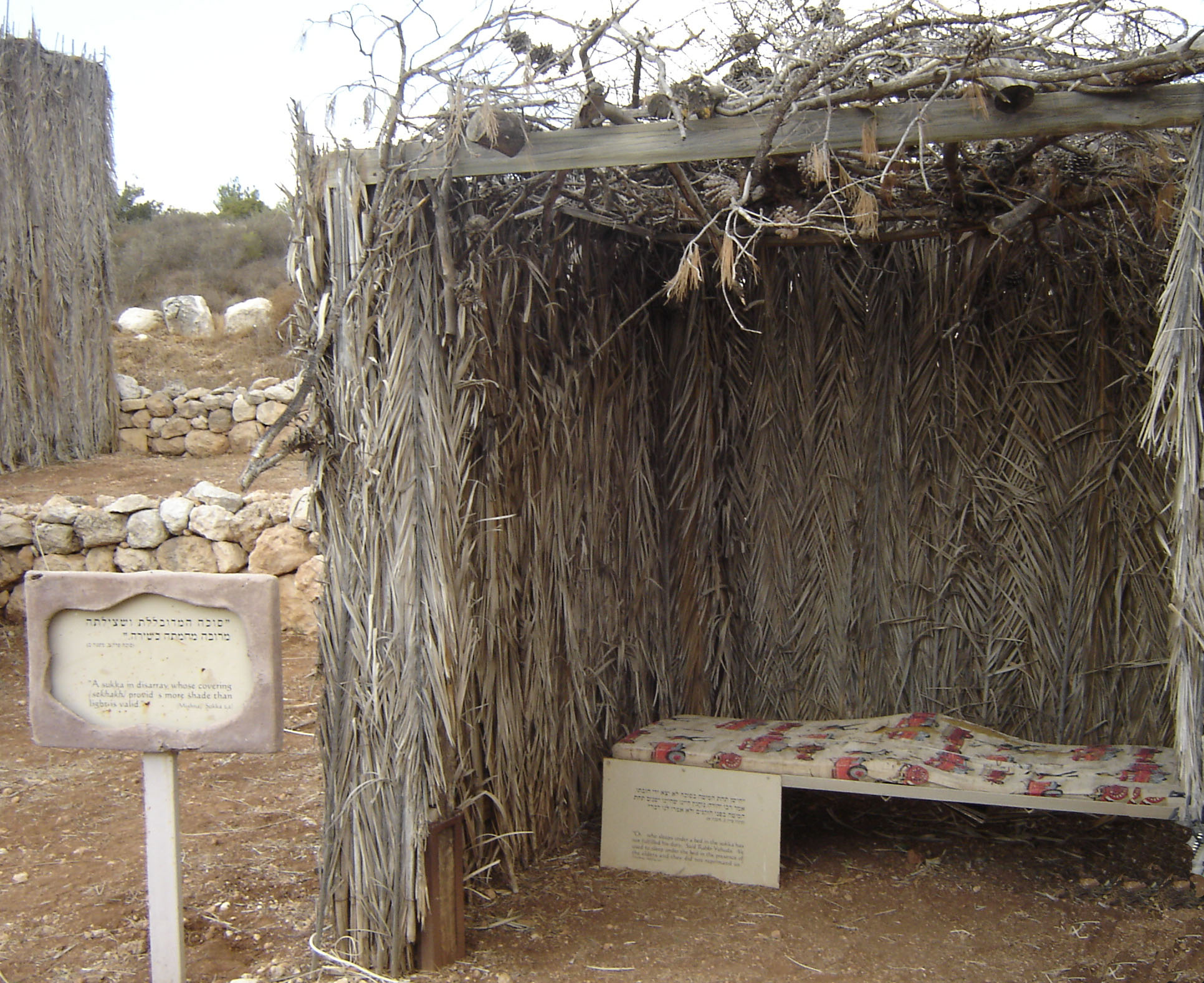 File:Sukkah meduvlelet.JPG - Wikimedia Commons