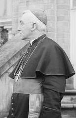 <span class="mw-page-title-main">Francis Bourne</span> Catholic cardinal