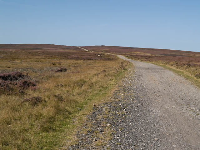 Track across Lealholm Moor - geograph.org.uk - 552709