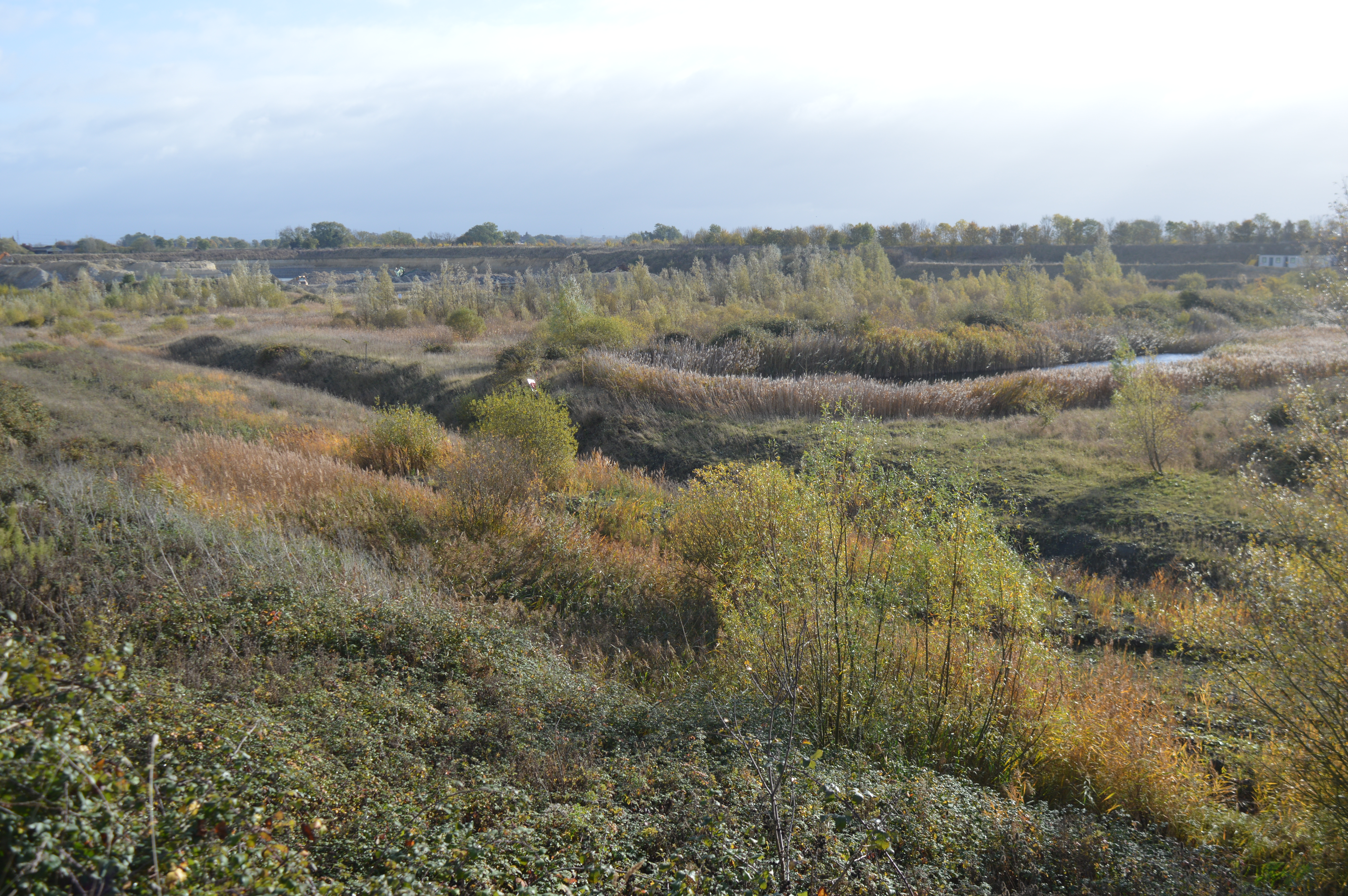 Upware Bridge Pit North