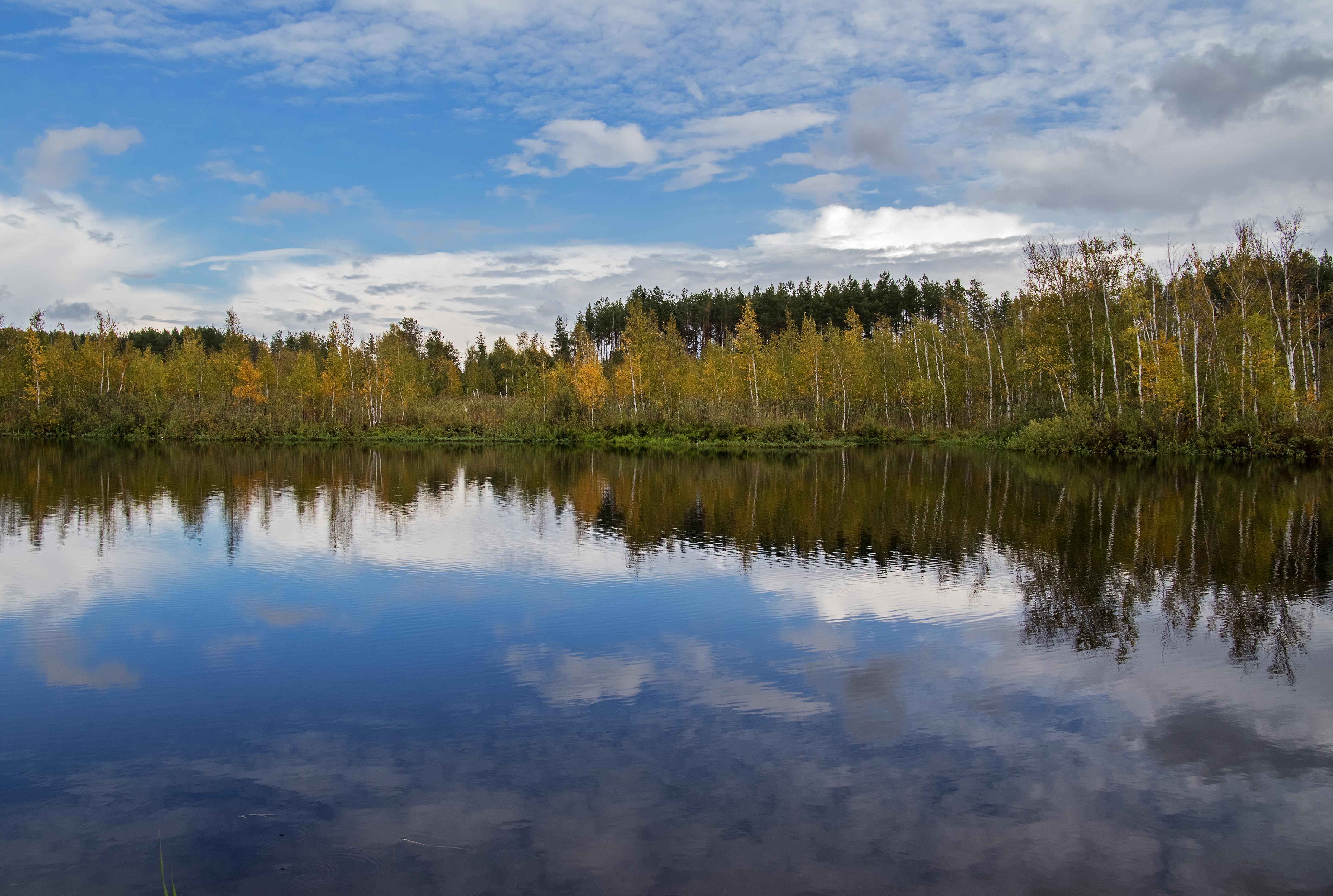 озеро лесное омск