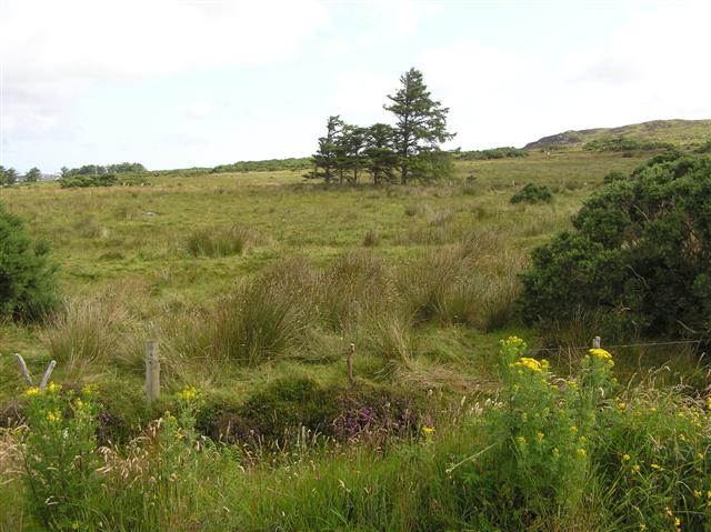 File:Annagh Upper - geograph.org.uk - 1405907.jpg