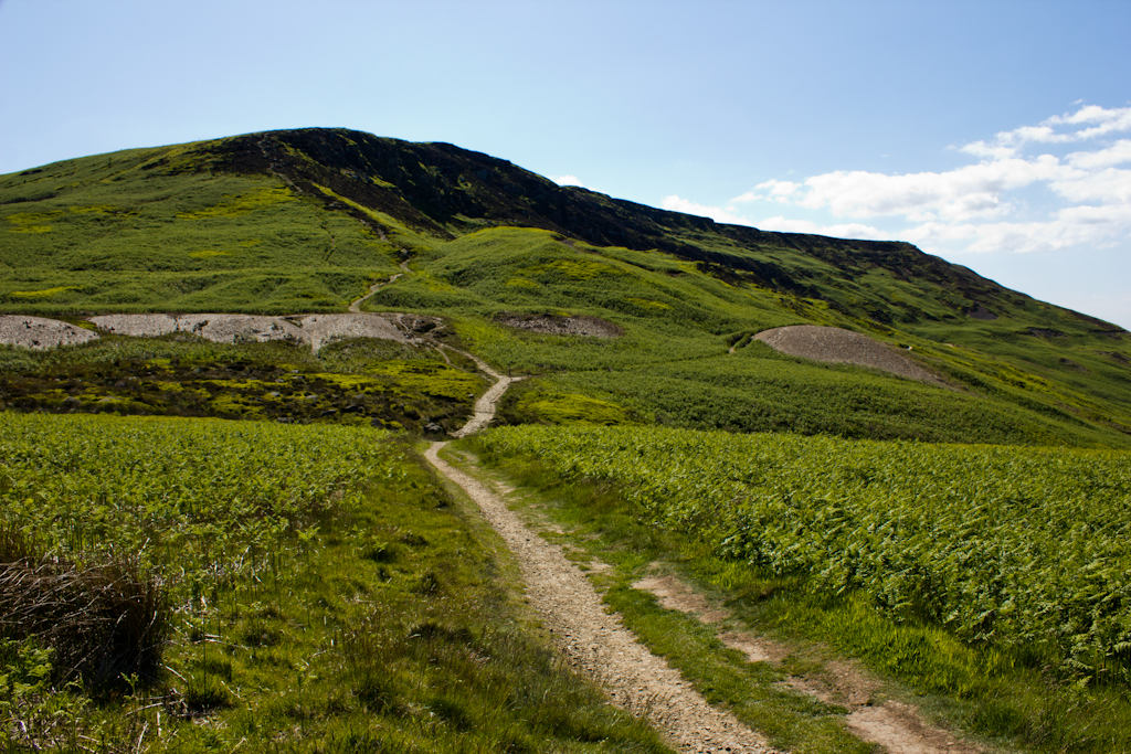 Cringle Moor - Wikipedia