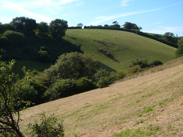 File:Coltscombe - geograph.org.uk - 235839.jpg