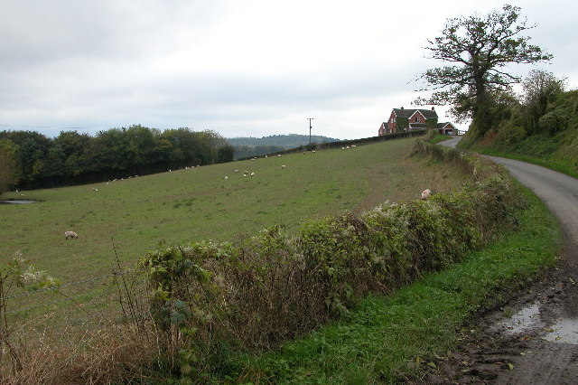 File:Country lane at the southern end of Marcle Hill - geograph.org.uk - 72600.jpg