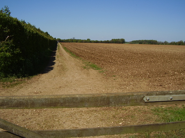 File:Farm track to Mere Hall from B1178 - geograph.org.uk - 419963.jpg