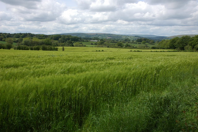 File:Farmland near Kington - geograph.org.uk - 439452.jpg