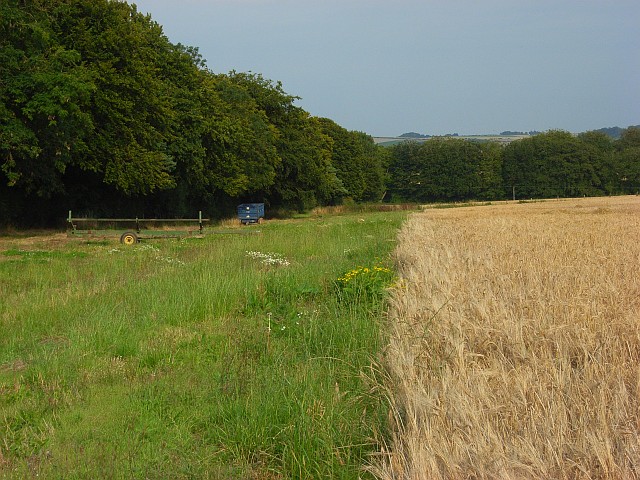 File:Farmland near Little Durnford - geograph.org.uk - 513120.jpg