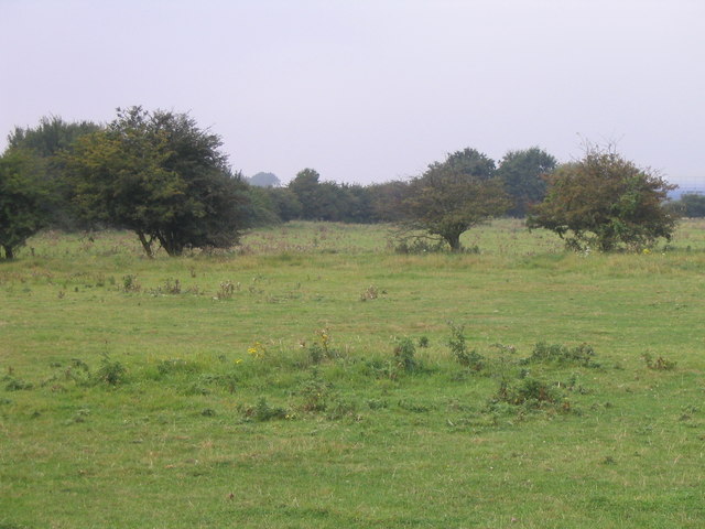 File:Field at Kempston - geograph.org.uk - 551694.jpg