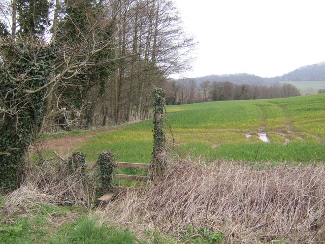 File:Footpath and field edge - geograph.org.uk - 372094.jpg