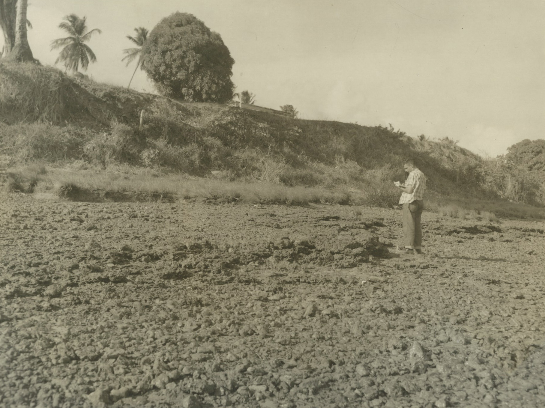 File Guerra Em Trablaho De Campo Jpg Wikimedia Commons