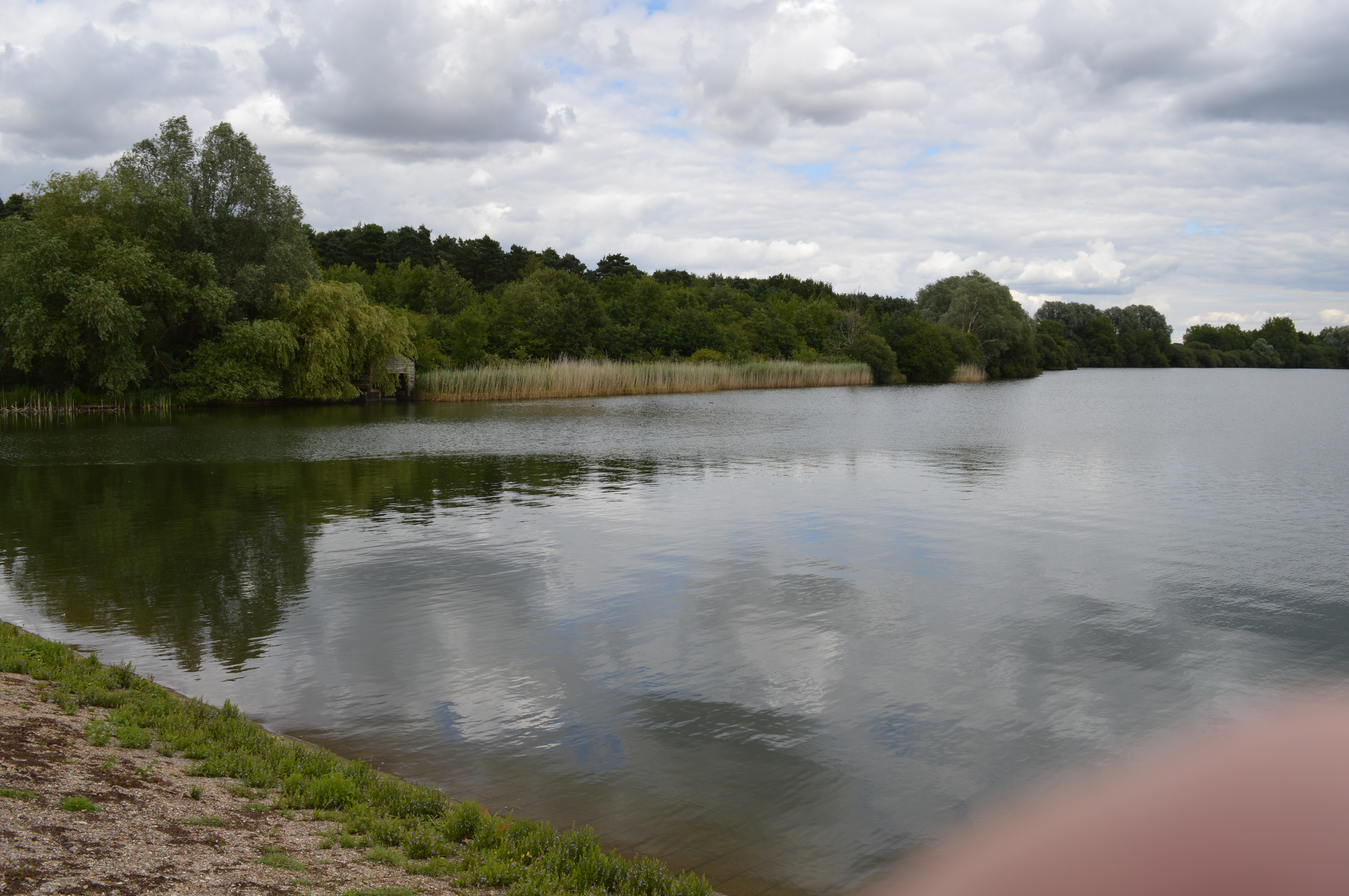 Hilfield Park Reservoir