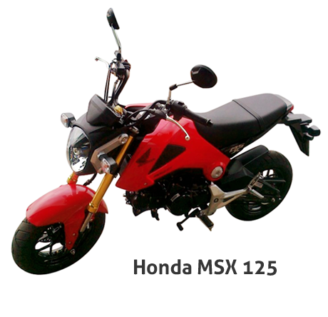 File Honda Msx 125 Thailand Png Wikimedia Commons