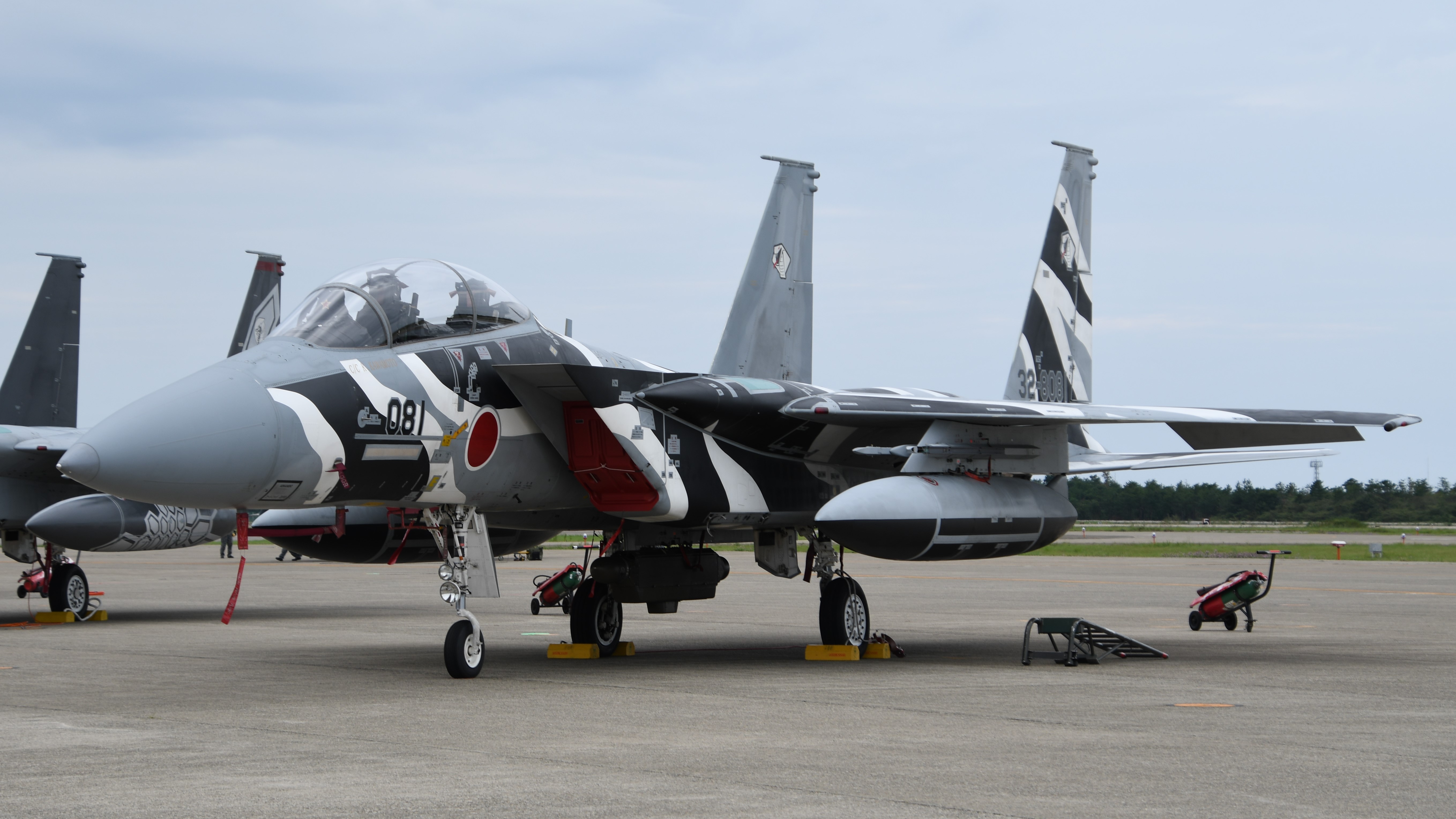 JASDF_F-15DJ(32-8081)_left_front_view_at