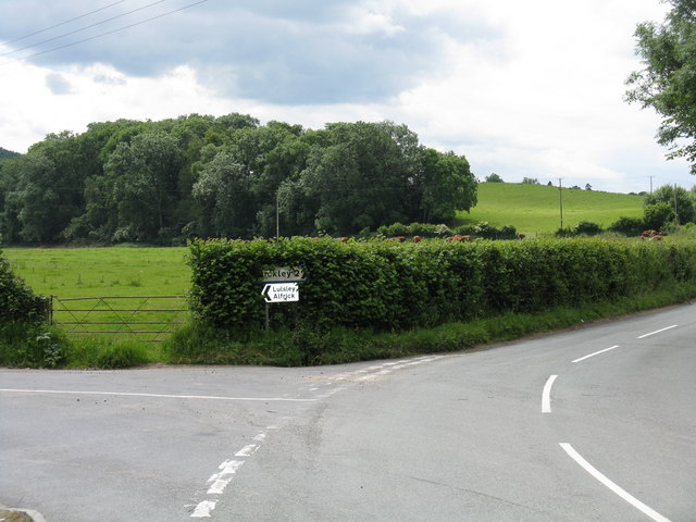 File:Knightwick - Alfrick lane junction - geograph.org.uk - 848079.jpg