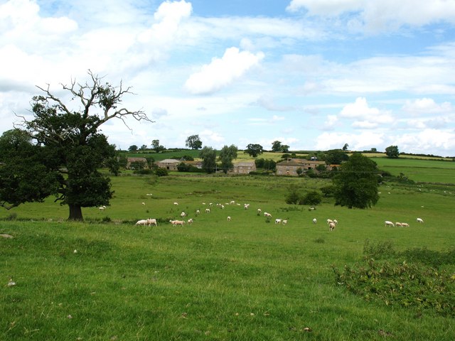 File:Low Ellington - geograph.org.uk - 1402563.jpg