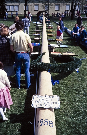 File:Maibaum in Eichenau 1988.jpg