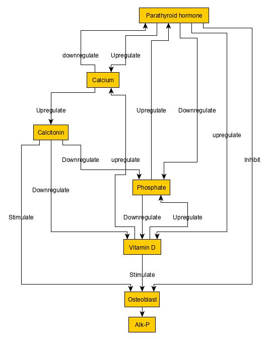 Metabolism - Wikipedia