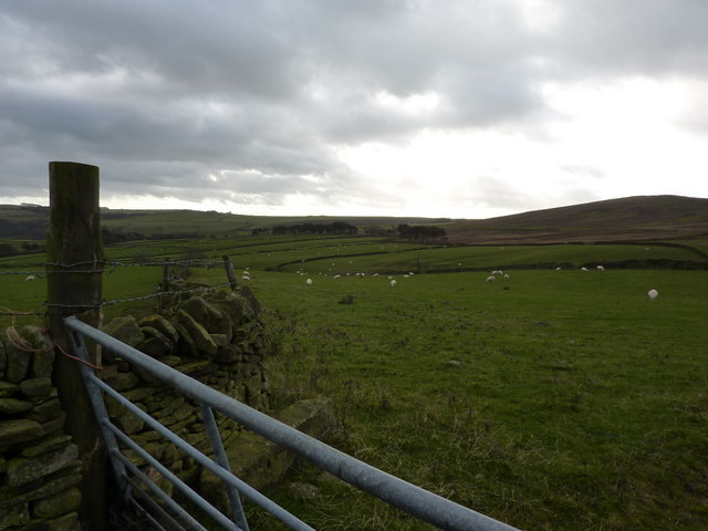 File:Pastureland near Abney - geograph.org.uk - 1596225.jpg