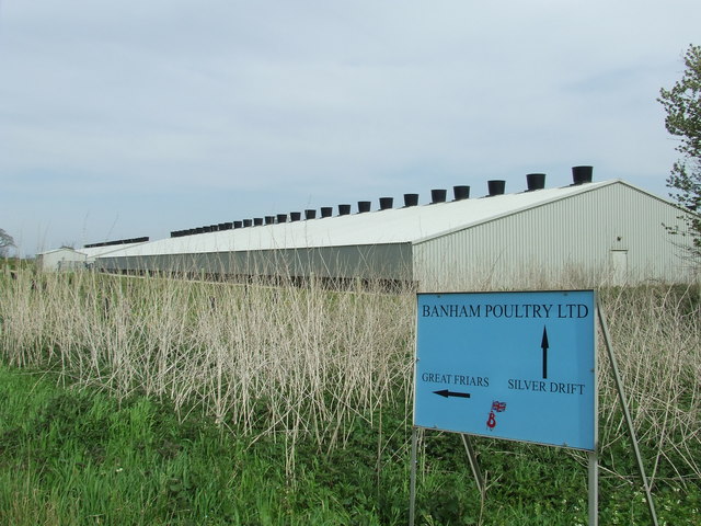 File:Poultry sheds - geograph.org.uk - 779301.jpg