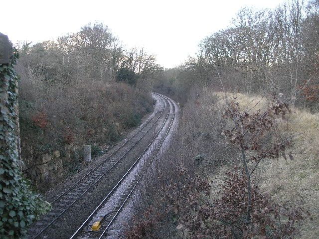 File:Railway Through Woodland - geograph.org.uk - 125628.jpg