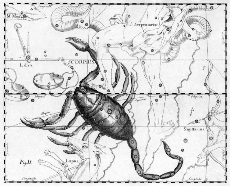 File:Scorpius Hevelius.jpg