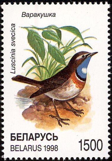 File:Stamp of Belarus - 1998 - Colnect 231701 - White spotted Bluethroat Luscinia svecica cyanecula.jpeg