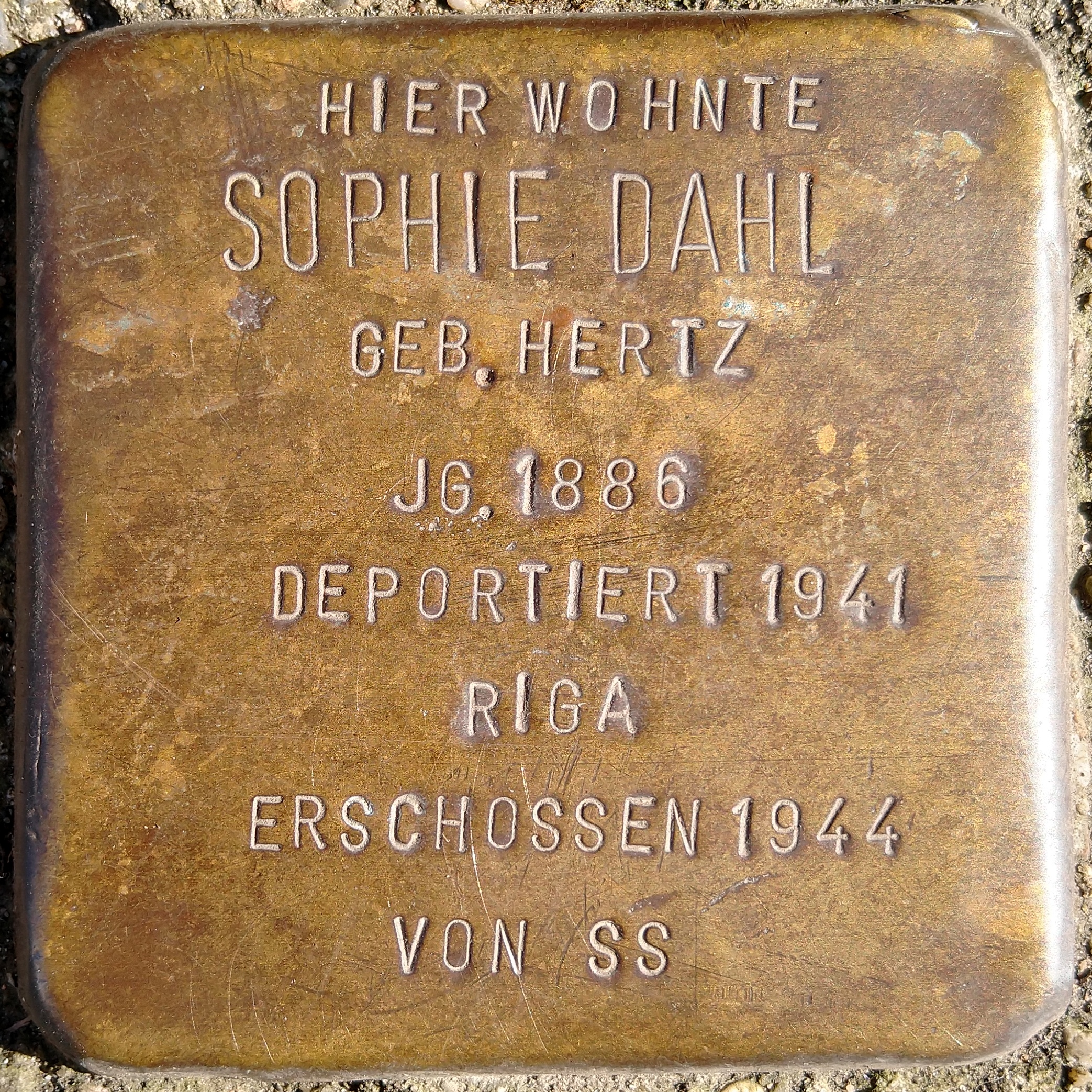 File:Stolperstein Dormagen, Kölner Str. 121, Sophie Dahl.jpg - Wikimedia  Commons