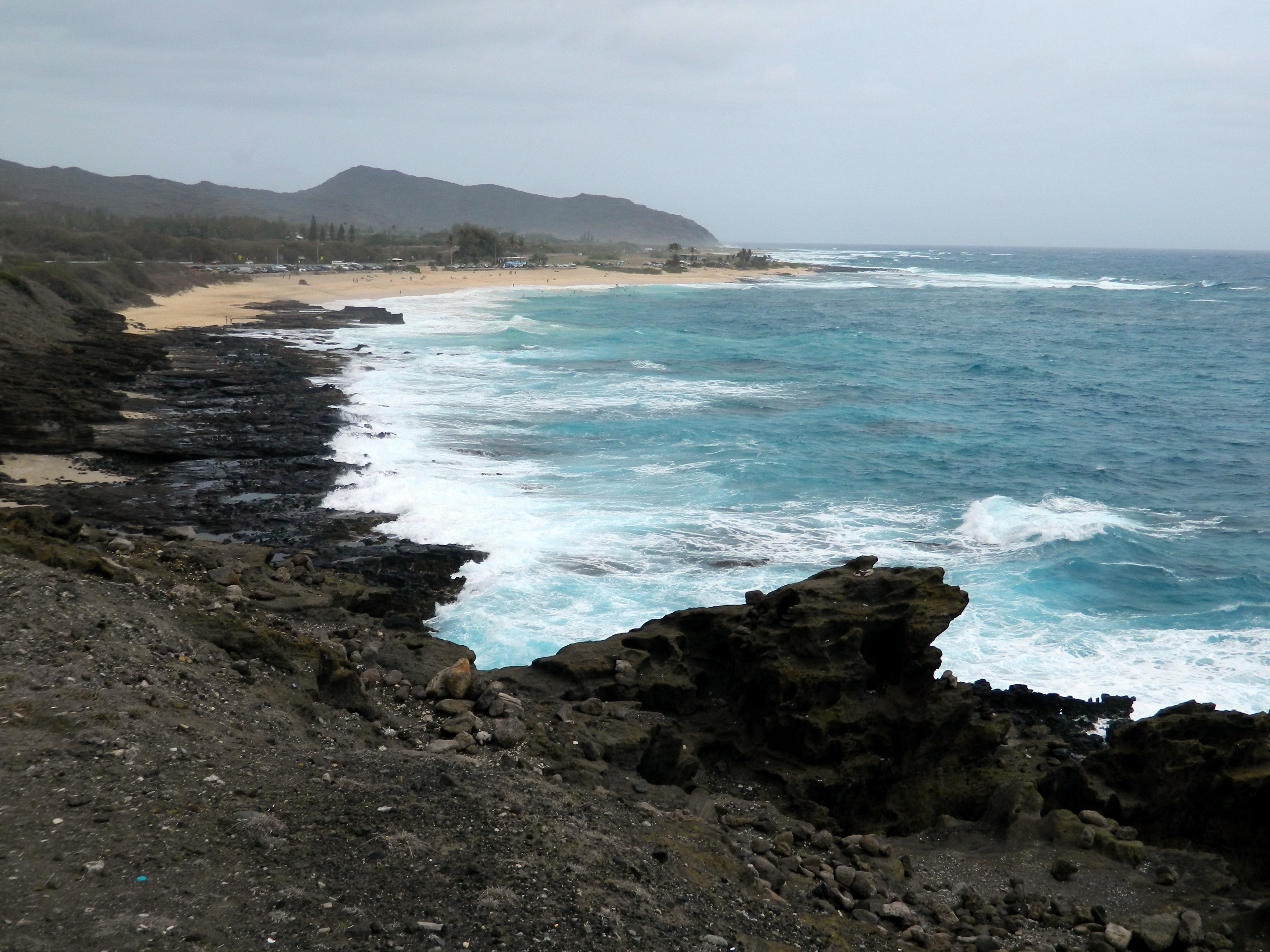 Oahu koko Creater