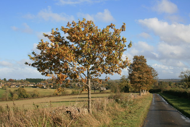 File:Towards Chadlington - geograph.org.uk - 1587682.jpg