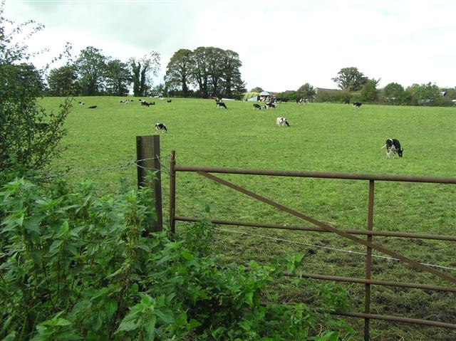 File:Tullyaran - geograph.org.uk - 254095.jpg