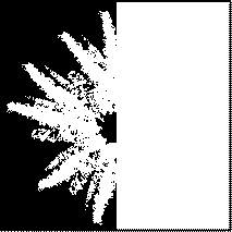 File:White spore print icon.png