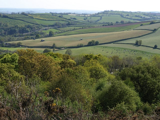 File:Woods below Ramshorn Down - geograph.org.uk - 1302320.jpg