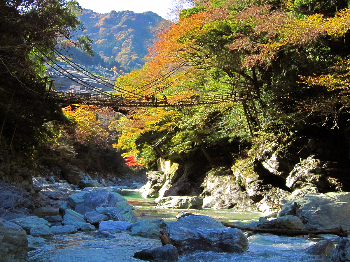 File 紅葉とかずら橋 Kazurabashi Iya In Autumn 22 Nov 11 Panoramio Jpg Wikimedia Commons