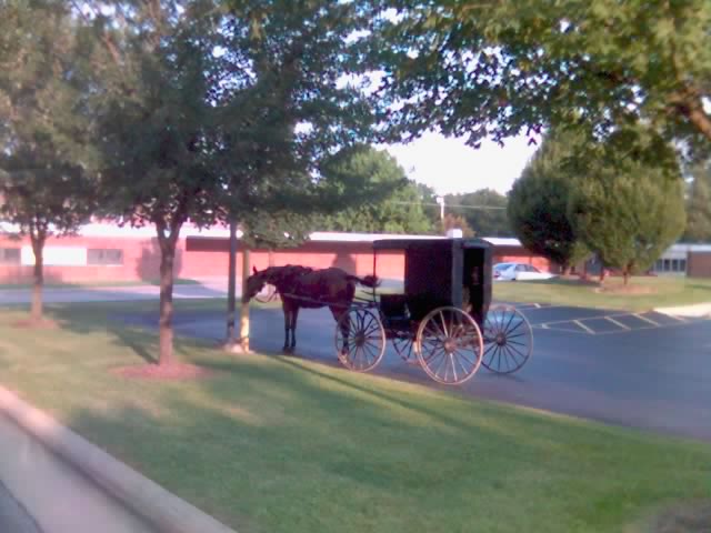 File:Amish Dalton OH.jpg