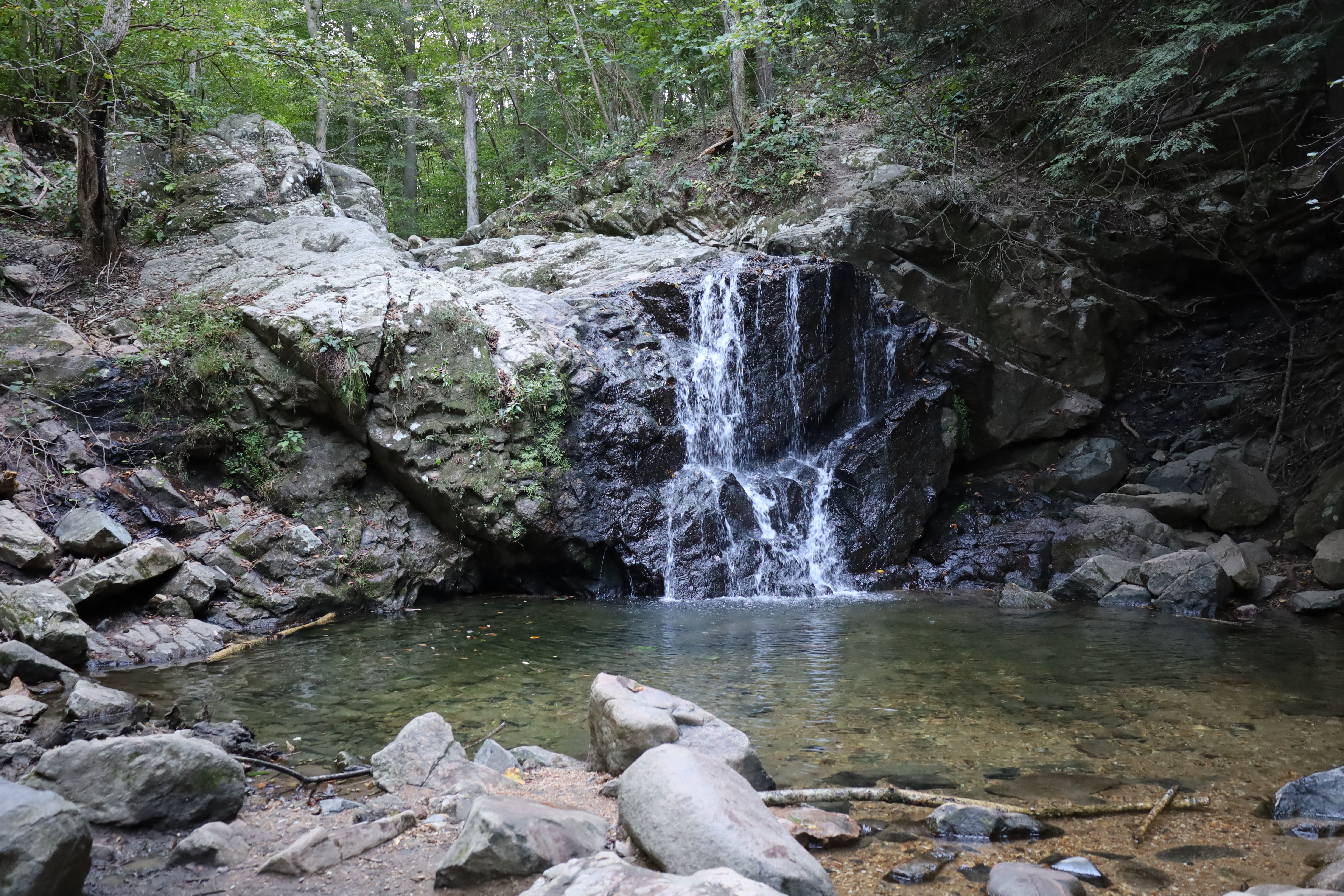 Exploring the Natural Wonders of Patapsco Valley State Park