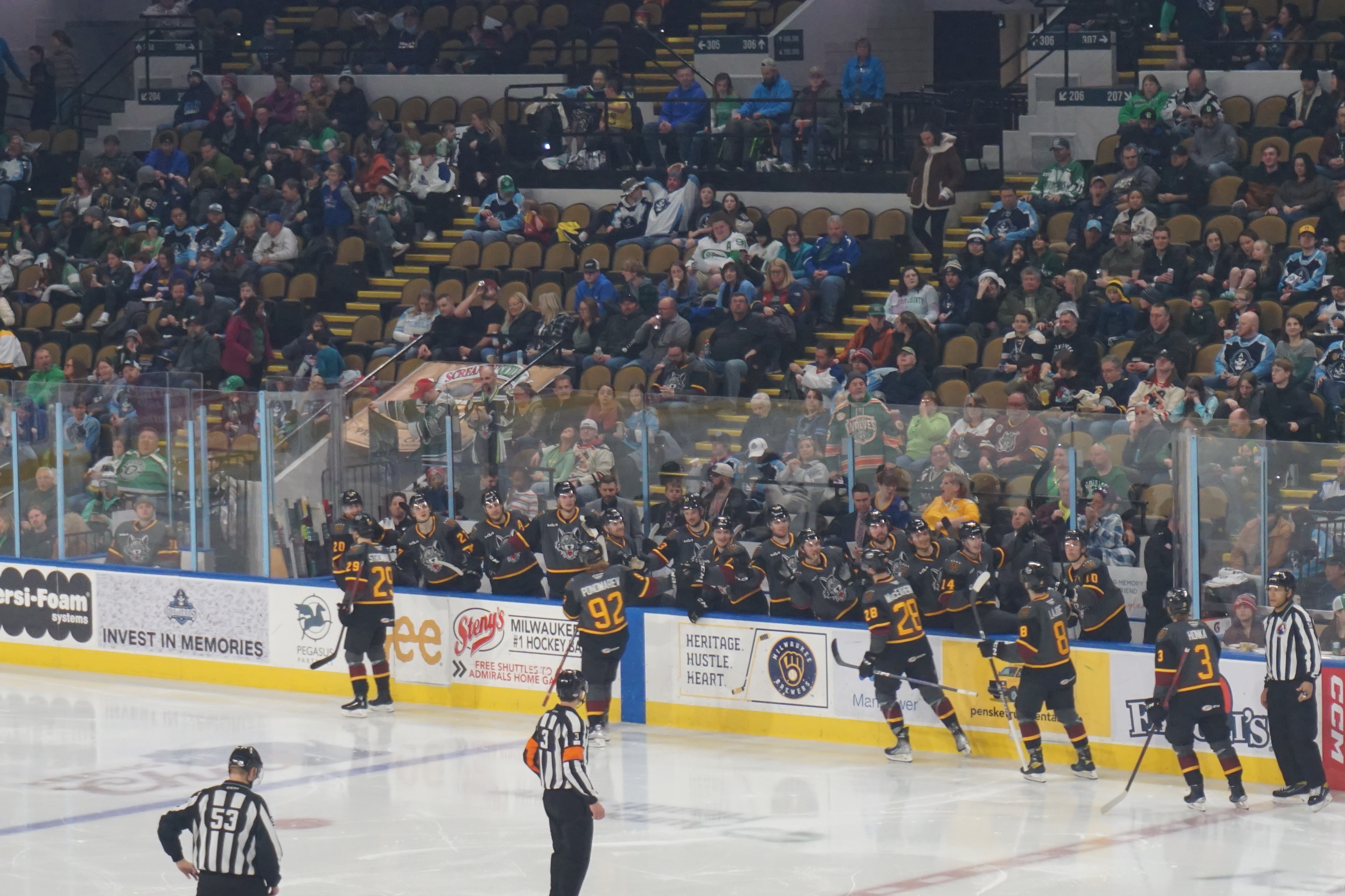 File:Chicago Wolves vs. Milwaukee Admirals March 2023 41 (Chicago