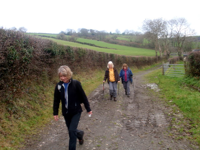 File:Ger - Near Ffarm Pantyffynnon Farm - geograph.org.uk - 4117352.jpg