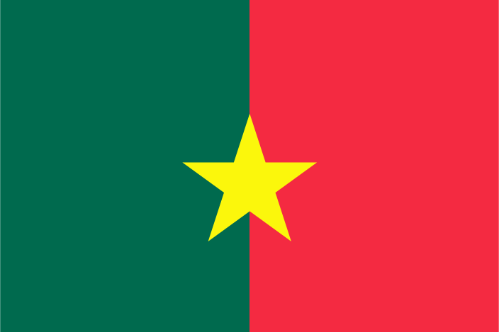 File:Jatiya Party-JaPa flag.png