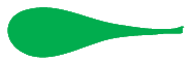 Forma bidimensional espatulada.