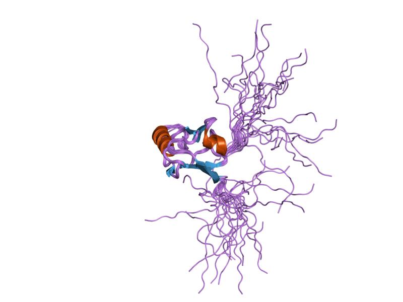 File:PDB 1x6d EBI.jpg